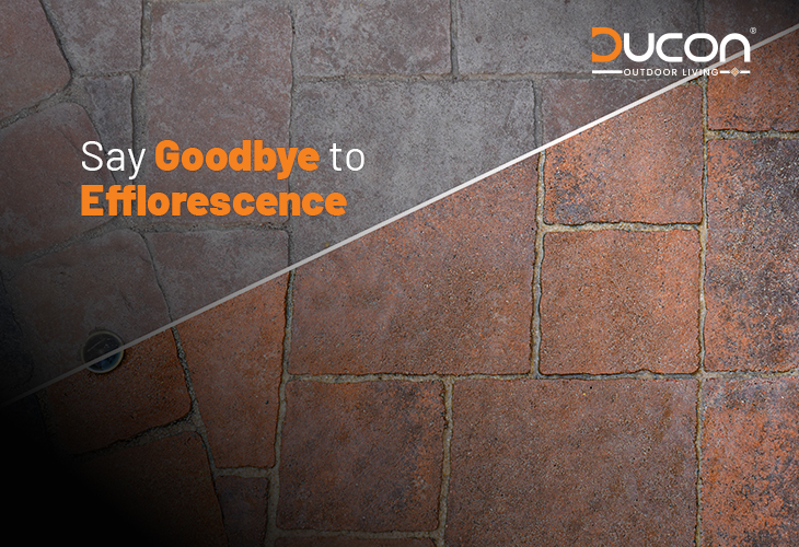 Expert Solutions to Keep Your Pavers Fresh and Efflorescence-Free